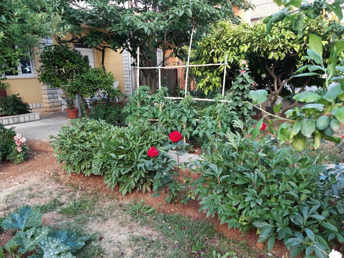 Apartment Jardin With Free Cowered Parking Zadar Buitenkant foto