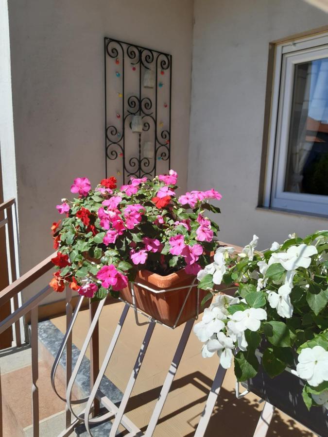 Apartment Jardin With Free Cowered Parking Zadar Buitenkant foto
