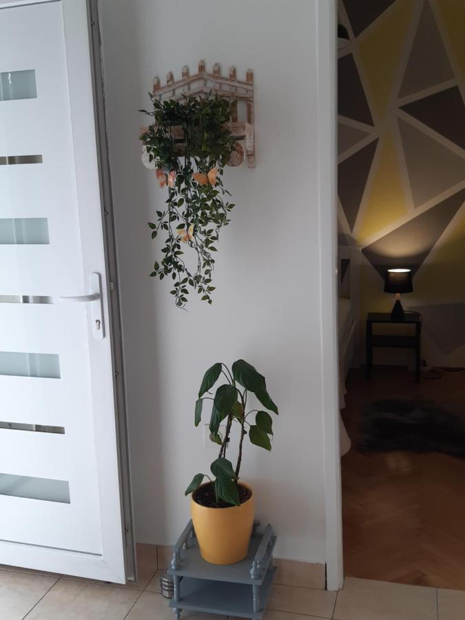 Apartment Jardin With Free Cowered Parking Zadar Buitenkant foto