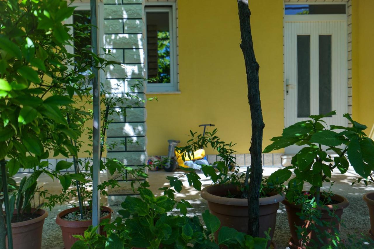 Apartment Jardin With Free Cowered Parking Zadar Buitenkant foto